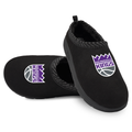 Sacramento Kings Primary Logo Mission